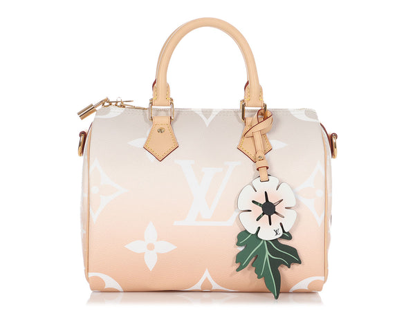 Louis Vuitton Speedy 25 Bandouliere By The Pool Brume Mist Gray