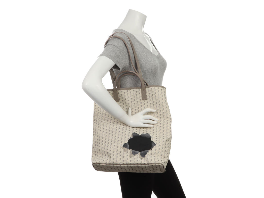 Moynat Limited Edition Quattro Vertical Canon Tote