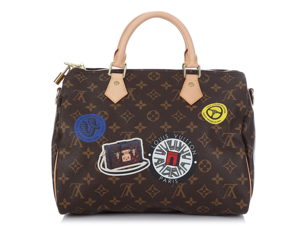 Louis Vuitton Monogram Speedy 30 Handbag - A World Of Goods For