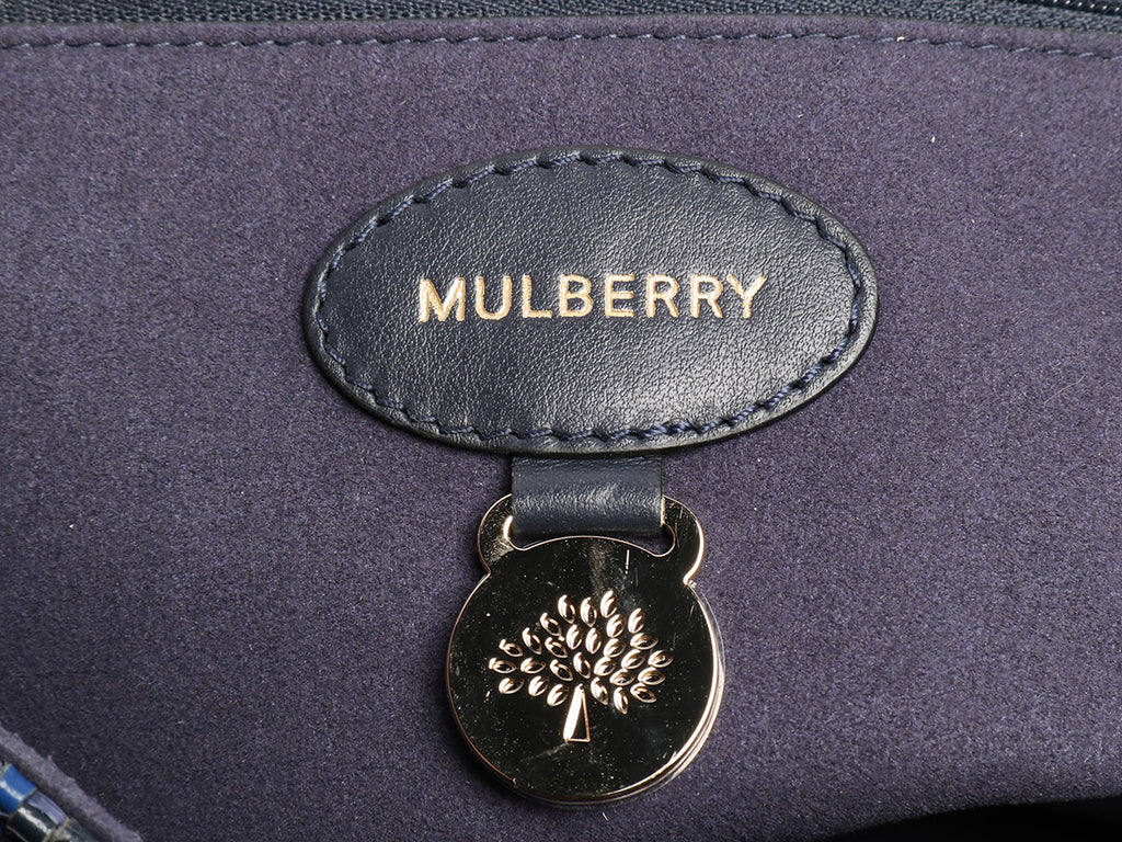 Mulberry Medium Raffia Woven Leather Lily Bag
