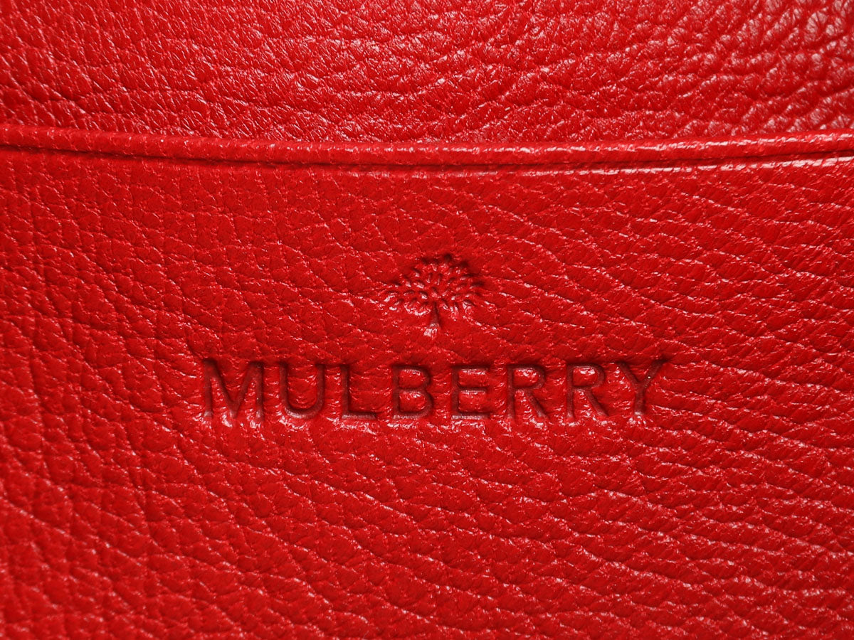 Women's 'lily' Mini Bag by Mulberry | Coltorti Boutique