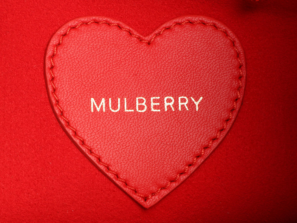 Mulberry Red Cara Delevingne Quilted Convertible Bag